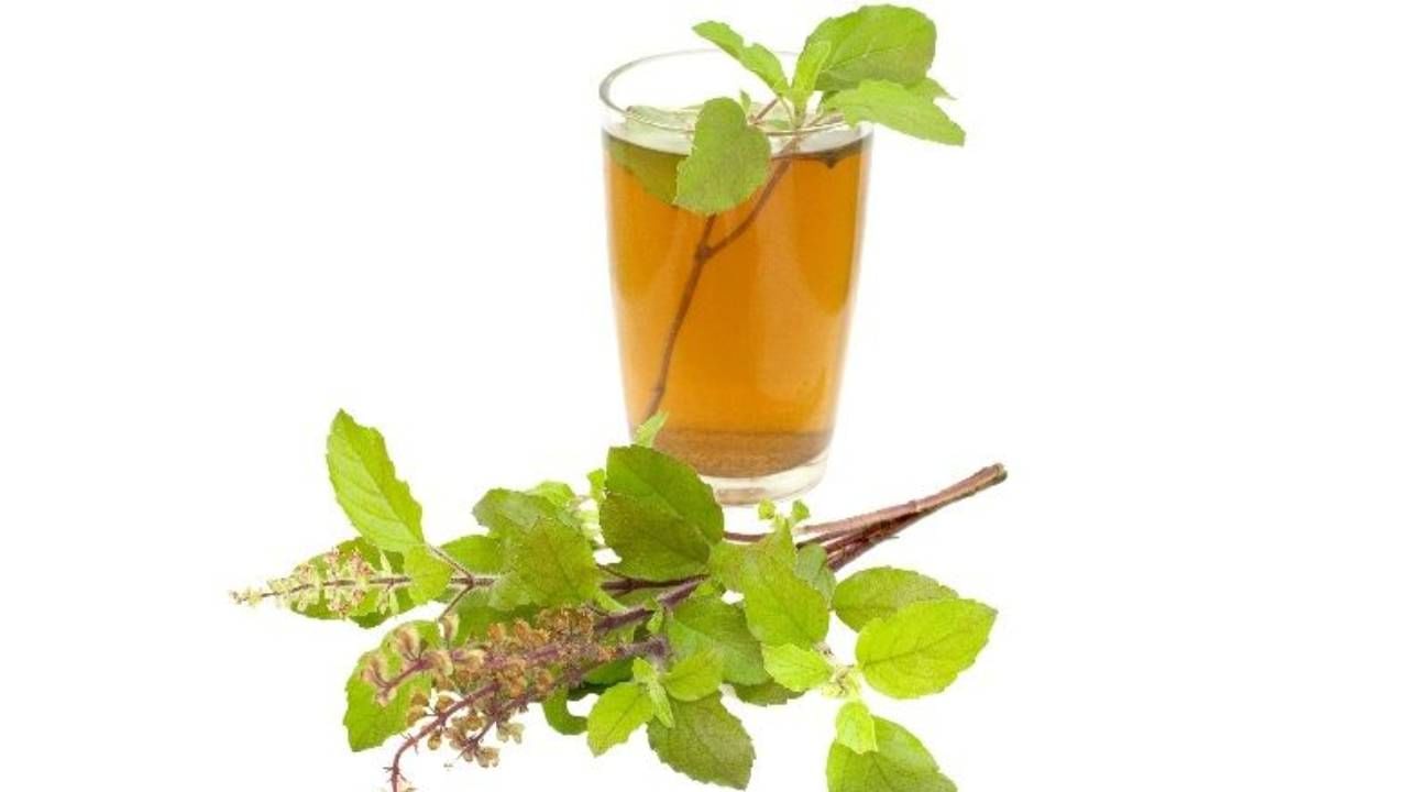 तुळशीचा चहा - हिवाळ्यात तुम्ही तुळशीच्या पानांचा चहा करून त्याचे सेवन करू शकता. ते आरोग्यासाठी खूप फायदेशीर ठरते. हा चहा स्वादिष्ट तर असतोच पण तो सेवन केल्याने अनेक आजारांपासून आपला बचावही होतो.