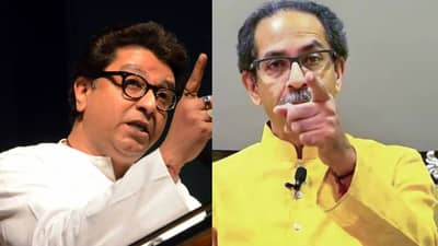 उद्धव ठाकरे म्हणाले, त्यांच्या पोटात गोळा आला; राज ठाकरे यांचं त्याच शब्दात प्रत्युत्तर काय?