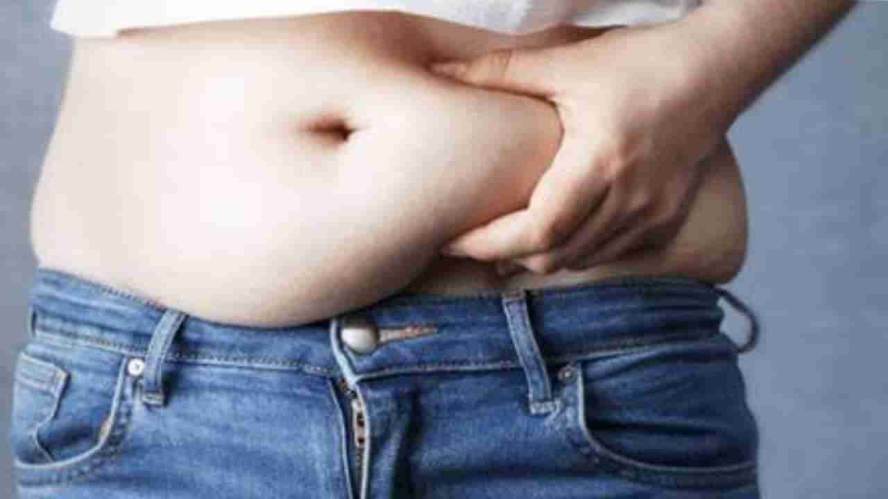 Weight Loss Tips: रोज पाळा हे नियम, पोटाची चरबी होईल दूर
