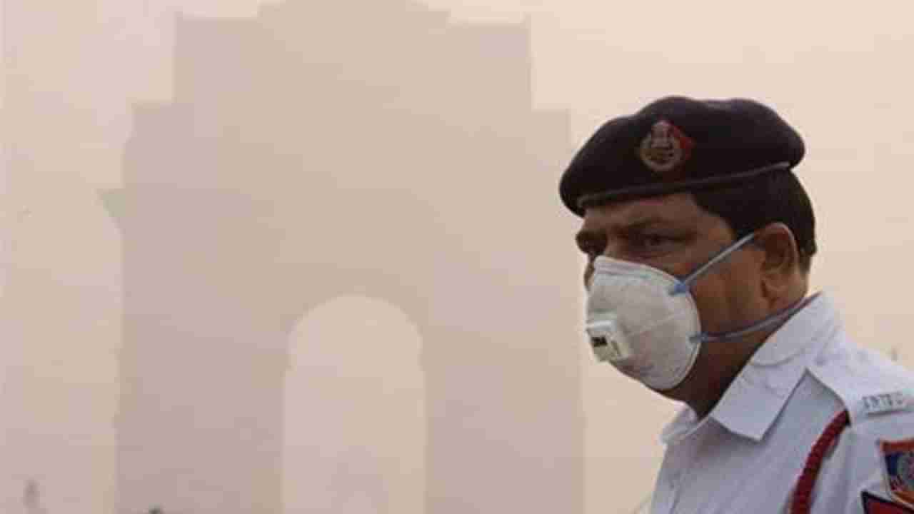 National Pollution Control Day 2022: विषारी हवेशी लढा देण्यासाठी उपयुक्त ठरतात हे 9 पदार्थ