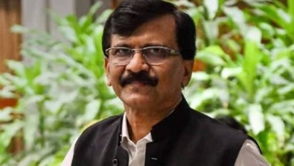 एक मच्छर भी आदमी को..., चित्रपटाच्या डायलॉगमधून हेमंत गोडसे यांचा संजय राऊतांवर निशाणा