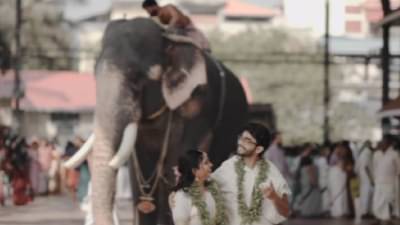 मंडळी फोटोशूट करताना जरा प्राणी बघून बरं का...! धक्कादायक व्हिडीओ