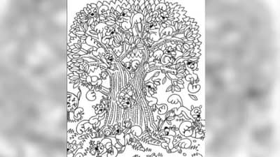 झूम करून बघा या किचकट चित्रात एक मगर लपलीये, सोडवा हे कोडं!