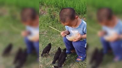 हे या इतक्या लहान मुलाला कुणी बरं शिकवलं असेल? कुणाचं पाहिलं असेल?