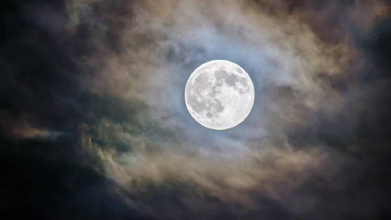 Margashish Purnima: मार्गशीष पौर्णिमेला जुळून येतोय विशेष योग, या उपायांमुळे नवीन वर्षात होतील सर्व मनोकामना पूर्ण Margashish Purnima: मार्गशीष पौर्णिमेला जुळून येतोय विशेष योग, या उपायांमुळे नवीन वर्षात होतील सर्व मनोकामना पूर्ण