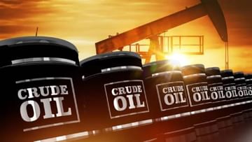 Crude Oil : कच्चा तेलामुळे केंद्र सरकार मालामाल! वर्षभरात इतक्या हजार कोटींचा फायदा, कणखर भूमिकेमुळे कोट्यवधी वाचले..