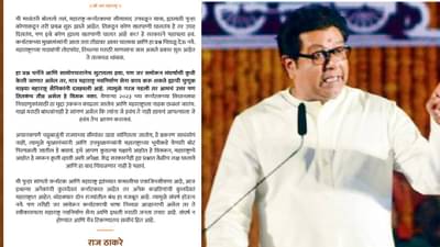 दोन राज्यातील बंध मजबूत, त्यामुळे संघर्ष नकोच, राज ठाकरेंनी सीमावादावर उपायच सांगितला