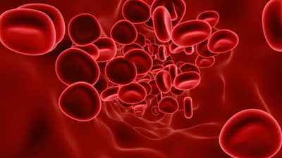 त्वचेचा हा त्रास ठरू शकतो ब्लड कॅन्सरचे लक्षण , अशी घ्या काळजी