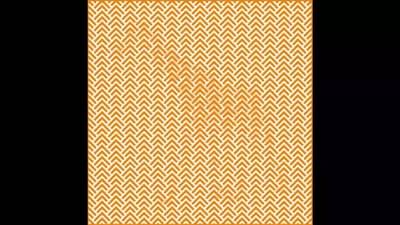 मित्रांनो यात ना एक प्राणी लपलाय! कुठला प्राणी आहे सांगा बरं...