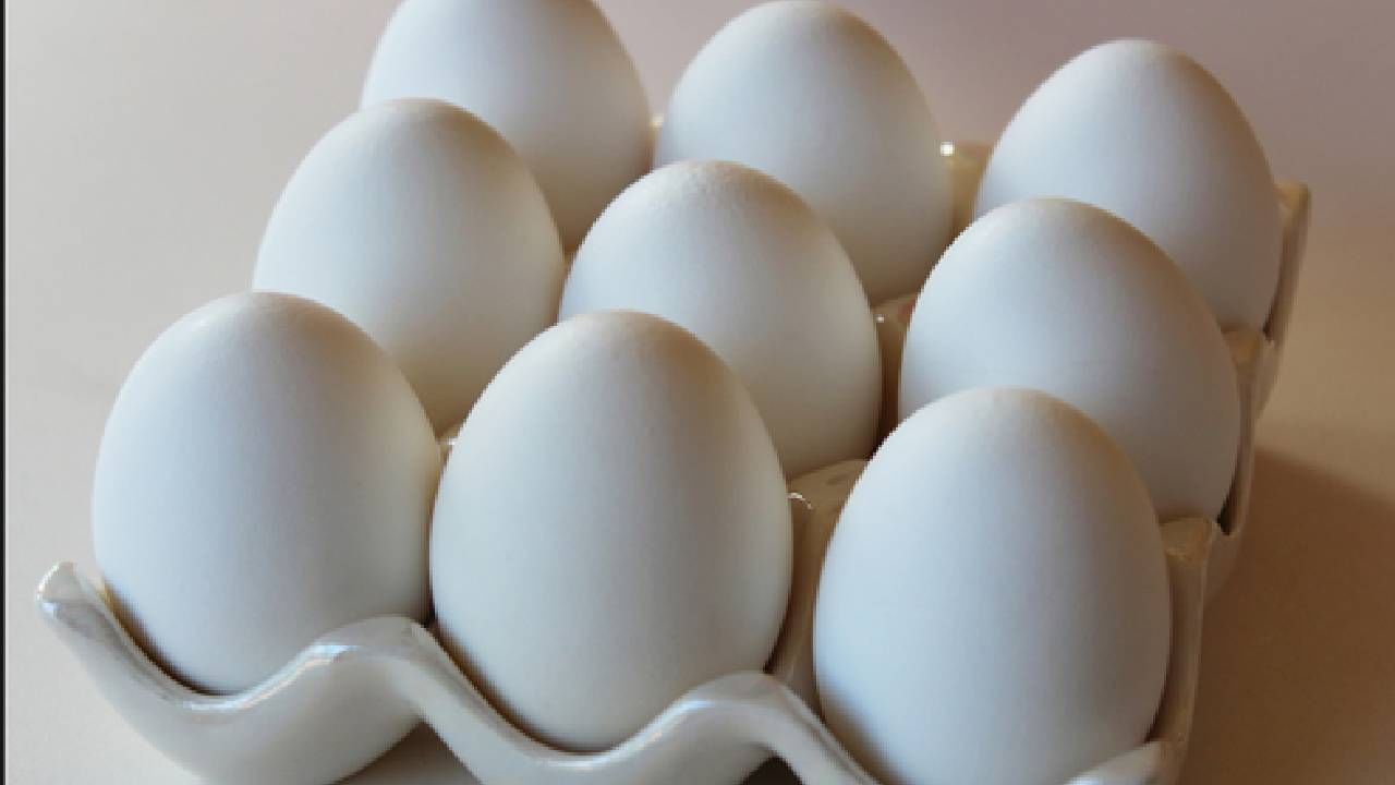Egg Price : ऐन थंडीत अंडे महागणार, अंड्यासाठी आता मोजावे लागेल जादा दाम, काय आहेत कारणं..