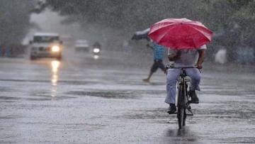 Rain News Today : या जिल्ह्यात पावसाची शक्यता असल्यामुळे शेतमाल सुरक्षित ठेवण्याचे प्रशासनाचे आवाहन