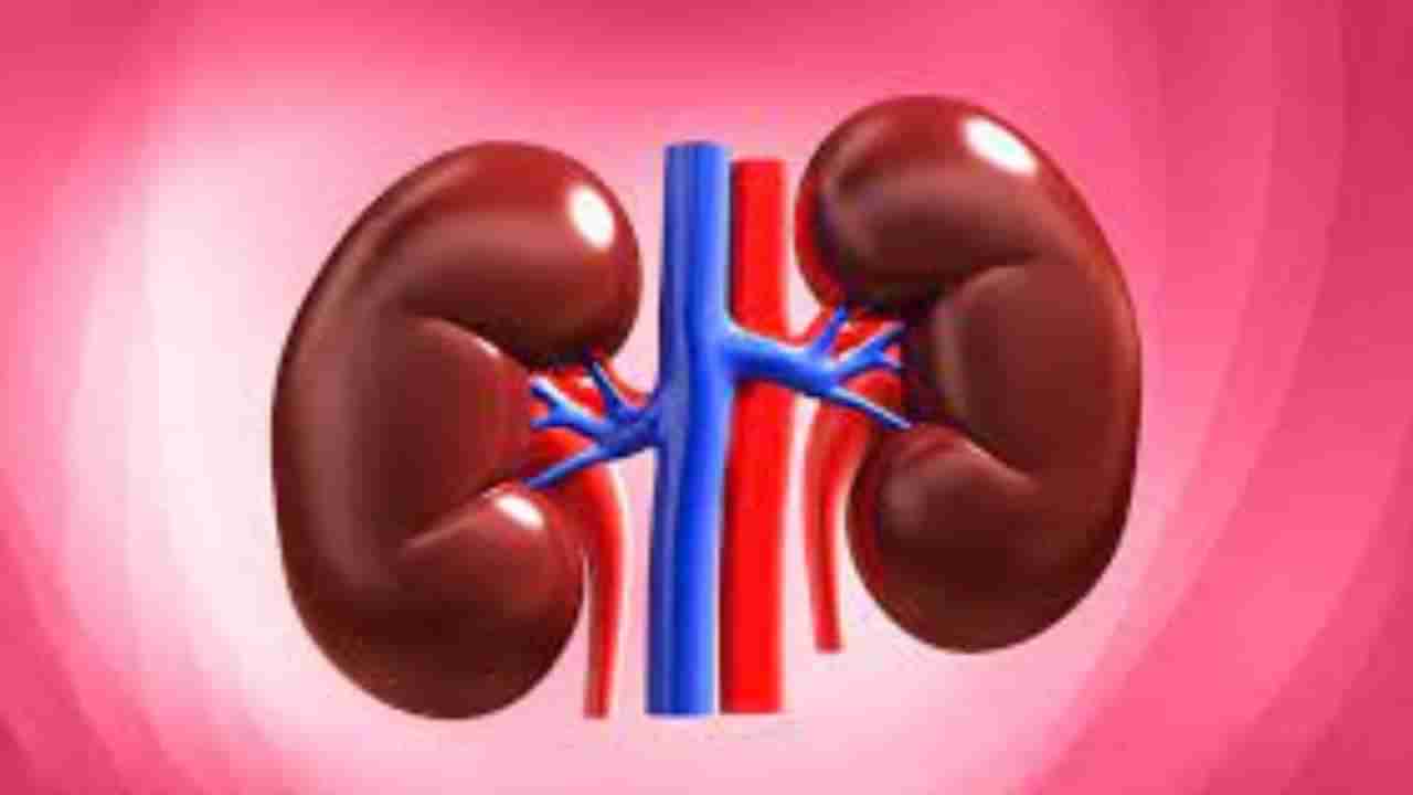 Kidney: शरीरातील या आजारांमुळे होऊ शकते किडनीचे नुकसान, घ्या काळजी