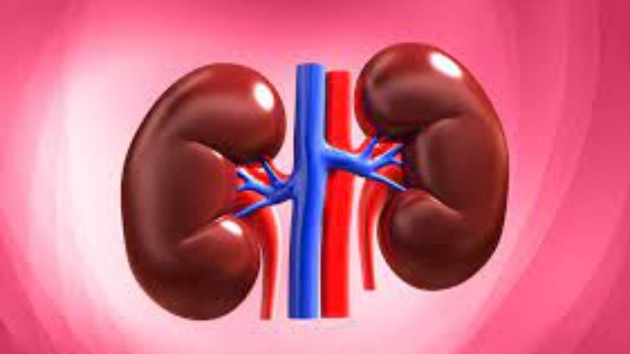 Kidney: शरीरातील 'या' आजारांमुळे होऊ शकते किडनीचे नुकसान, घ्या काळजी