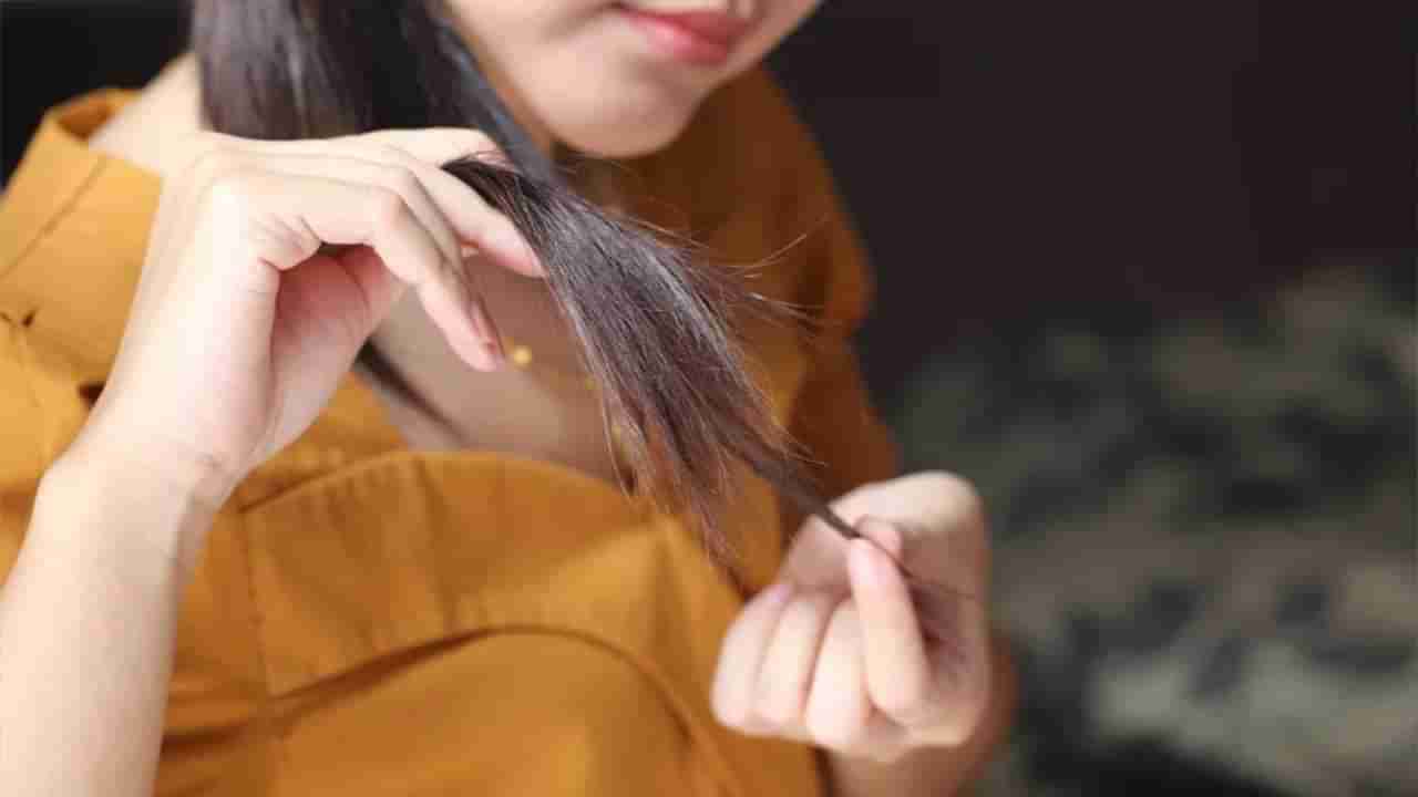 Hair Care: दुभंगलेल्या केसांपासून मुक्ती मिळवण्यासाठी फॉलो करा या टिप्स