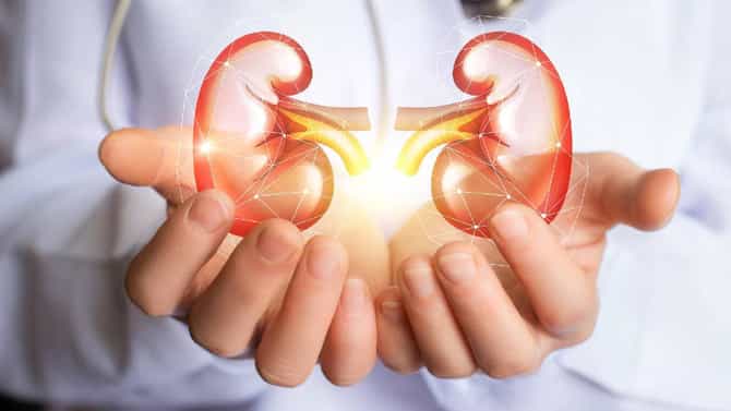 Health: किडनीचे आरोग्य जपण्यासाठी अवश्य करा या गोष्टी