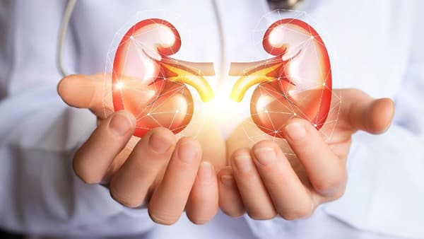 Health: किडनीचे आरोग्य जपण्यासाठी अवश्य करा या गोष्टी