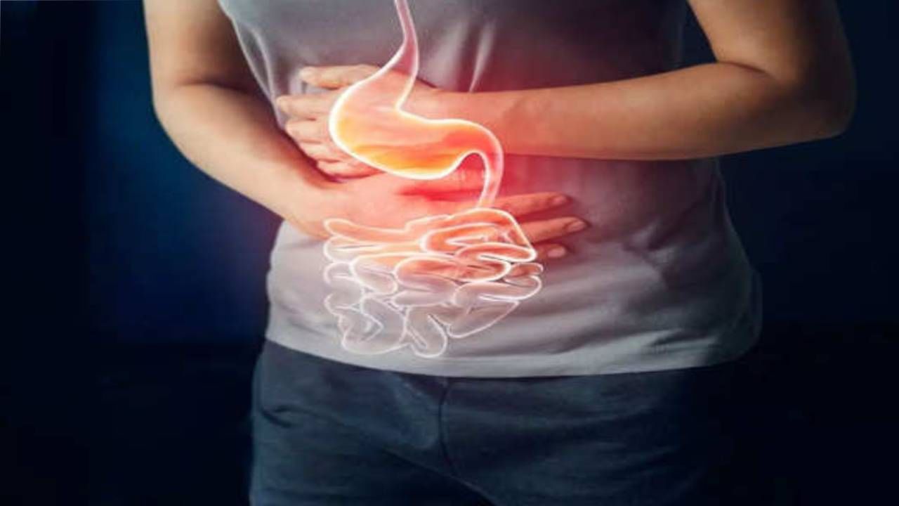 अन्नातून पोषक घटक वेगळे करणे आणि ते शरीराच्या इतर भागात पोहोचवणे हे शरीरातील आतड्यांचे कार्य आहे. आतड्यांचे आरोग्य बिघडले तर पचनसंस्था बिघडते. असे काही पदार्थ आहेत, जे खाल्यामुळे आतड्यांचे हळूहळू मोठं  नुकसान होऊ शकतं. हे पदार्थ आतड्यांसाठी सायलेंट किलर समजले जातात. 