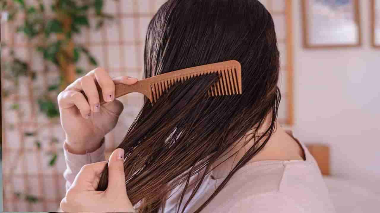 Hair Care Tips: केस ओले असताना चुकूनही करू नका ही चूक अन्यथा...