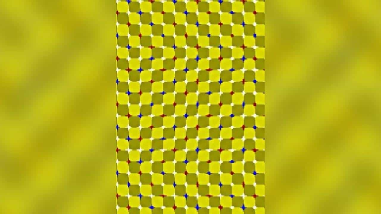 चला उत्तर शोधा! कोड्याचं उत्तर सांगा