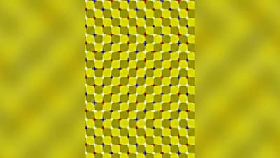 चला उत्तर शोधा! कोड्याचं उत्तर सांगा