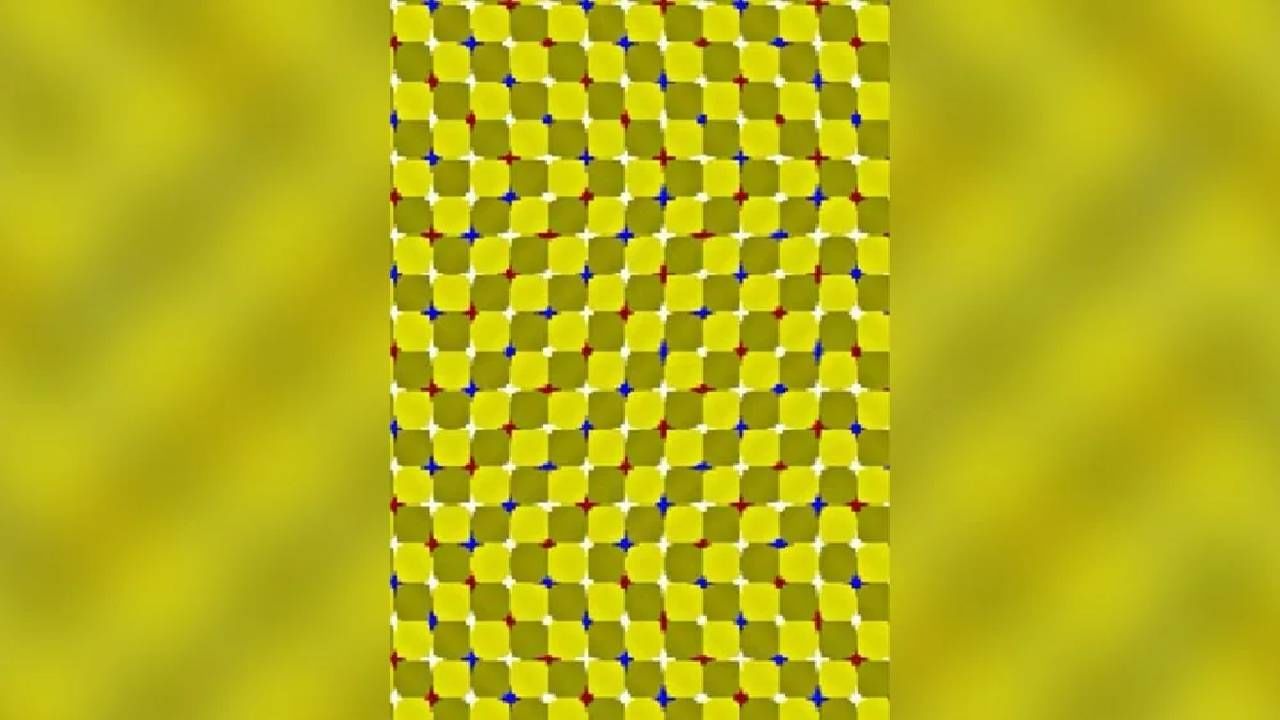 optical illusion viral