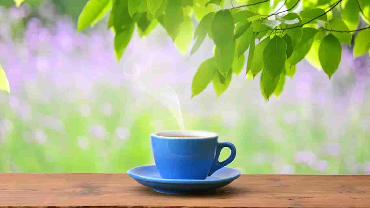 International Tea Day: तुम्हालाही आहे डोकेदुखीचा त्रास ? हे चहा पिऊन पहा