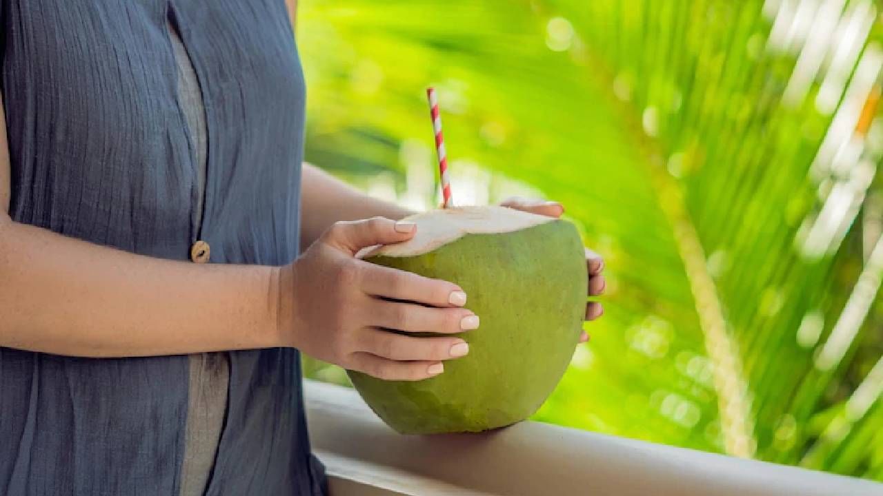 Coconut Water थंडीत नारळ पाणी पिण्याचे हे आहेत फायदे Marathi News