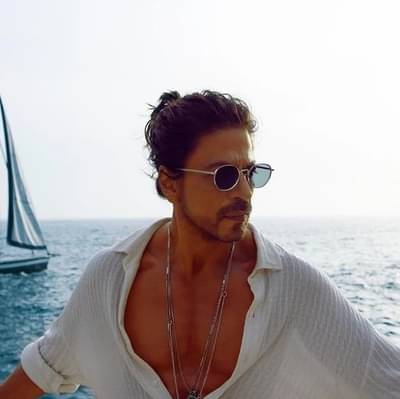 शाहरुख खान याची क्रेझ अखेर झाली कमी ? १२ दिवसांनंतर पठाण सिनेमाच्या कमाईत मोठी घट