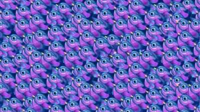 या चित्रात पक्ष्यांमध्ये दडलेलं फुलपाखरू शोधायचंय...!