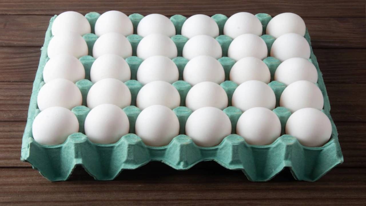 संडे हो या मंडे आता रोज खाता येणार नाही अंडे! अंड्यांचे दर वाढले