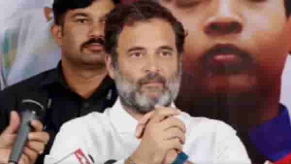 प्रसिद्ध अभिनेत्री राहुल गांधी यांना डेट करू इच्छित होती ; एका मुलाखतीत ती म्हणाली...