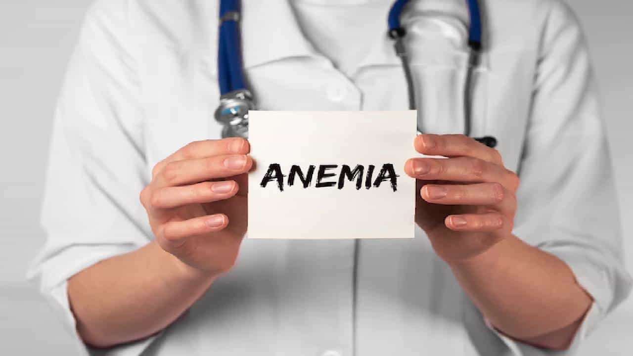 Diet For Anemia: शरीरात रक्ताच्या कमतरतेमुळे होऊ शकतो ॲनिमिया, असे वाढवा हिमोग्लोबिन