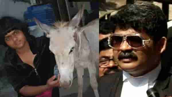 घरात गाढव पाळण्या मागील कारणं काय ? अॅड. गुणरत्न सदावर्ते यांनी स्पष्टच सांगितल, जाणून घ्या
