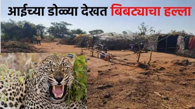 Kolhapur : आईच्या डोळ्या देखत बिबट्याचा मुलीवर हल्ला, थरारक घटनेमुळे परिसरात घबराहट