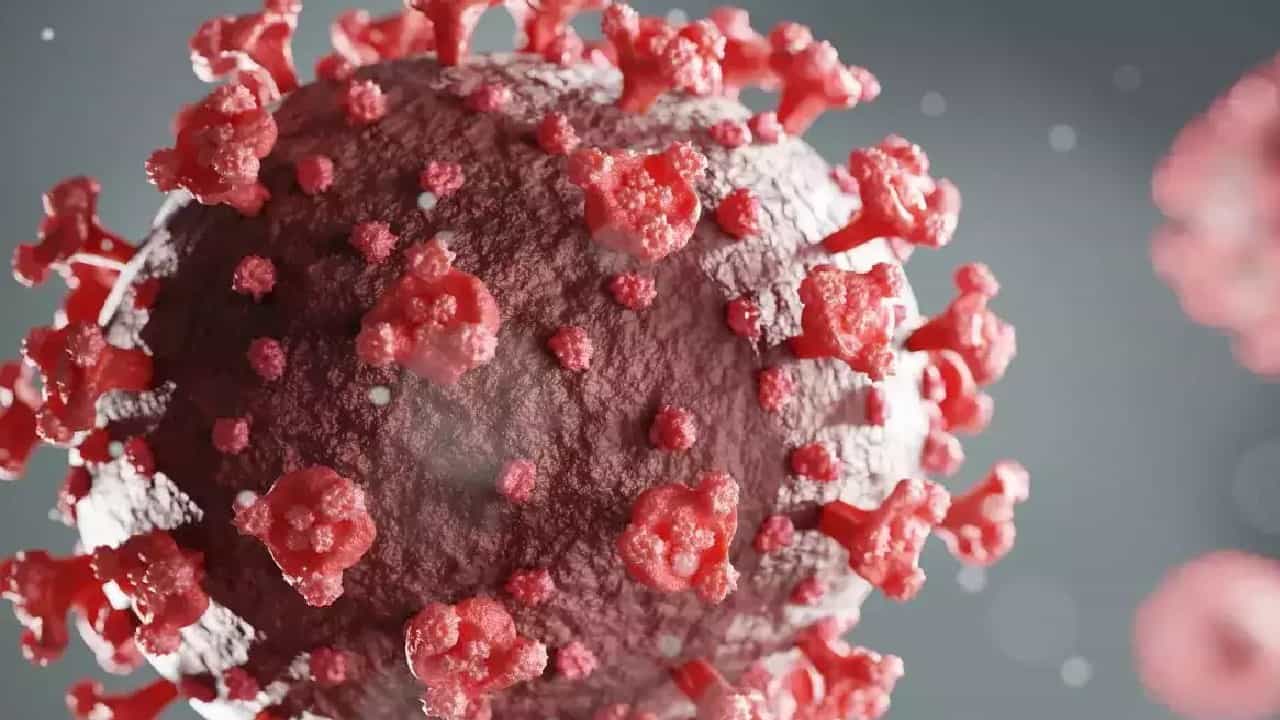 Corona | भारतात ओमिक्रॉनचा सब व्हेरिएंट BF.7 ची एंट्री, वैशिष्ट्य काय? लसीकरण झाल्यानंतरही जपूनच रहावं लागणार