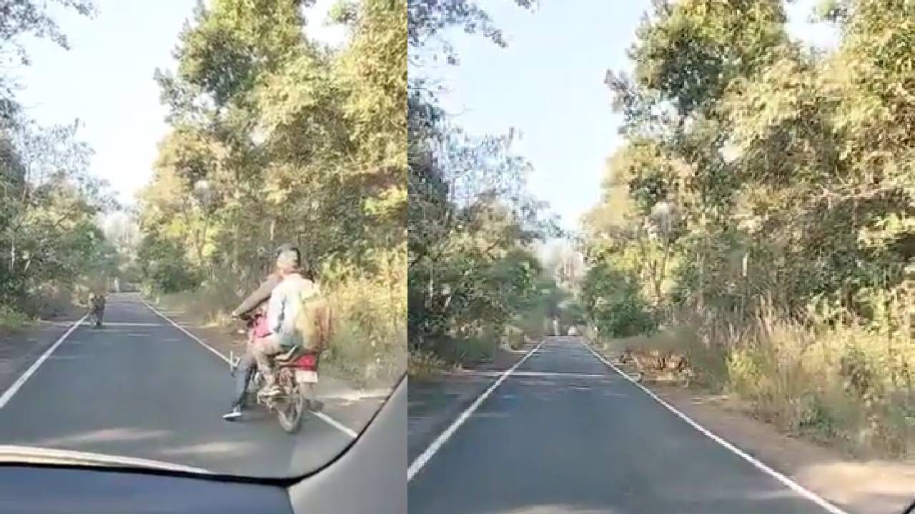 भयानक! 5 सेकंद जरी उशीर झाला असता तर? सत्य घटना... भयानक! 5 सेकंद जरी उशीर झाला असता तर? सत्य घटना...