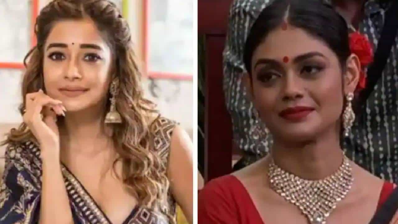 Bigg Boss 16 | श्रीजिता डे हिने टीना दत्तावर केलेल्या आरोपांमुळे चाहत्यांना मोठा धक्का