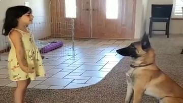 Video: कुत्र्यासोबत लपाछपी खेळत होती चिमुरडी, मग कुत्र्याने काय केले ते पाहून...