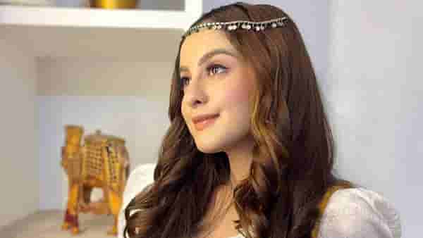Tunisha Sharma च्या आत्महत्येनंतर हे पाच प्रश्न का होत आहेत उपस्थित?