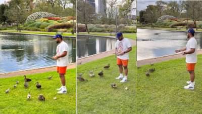 ऋषभचा तो व्हिडीओ होतोय प्रचंड व्हायरल, अपघाताआधी एक दिवस त्याने प्रेमाने या जीवांना घातले होते खाऊ...