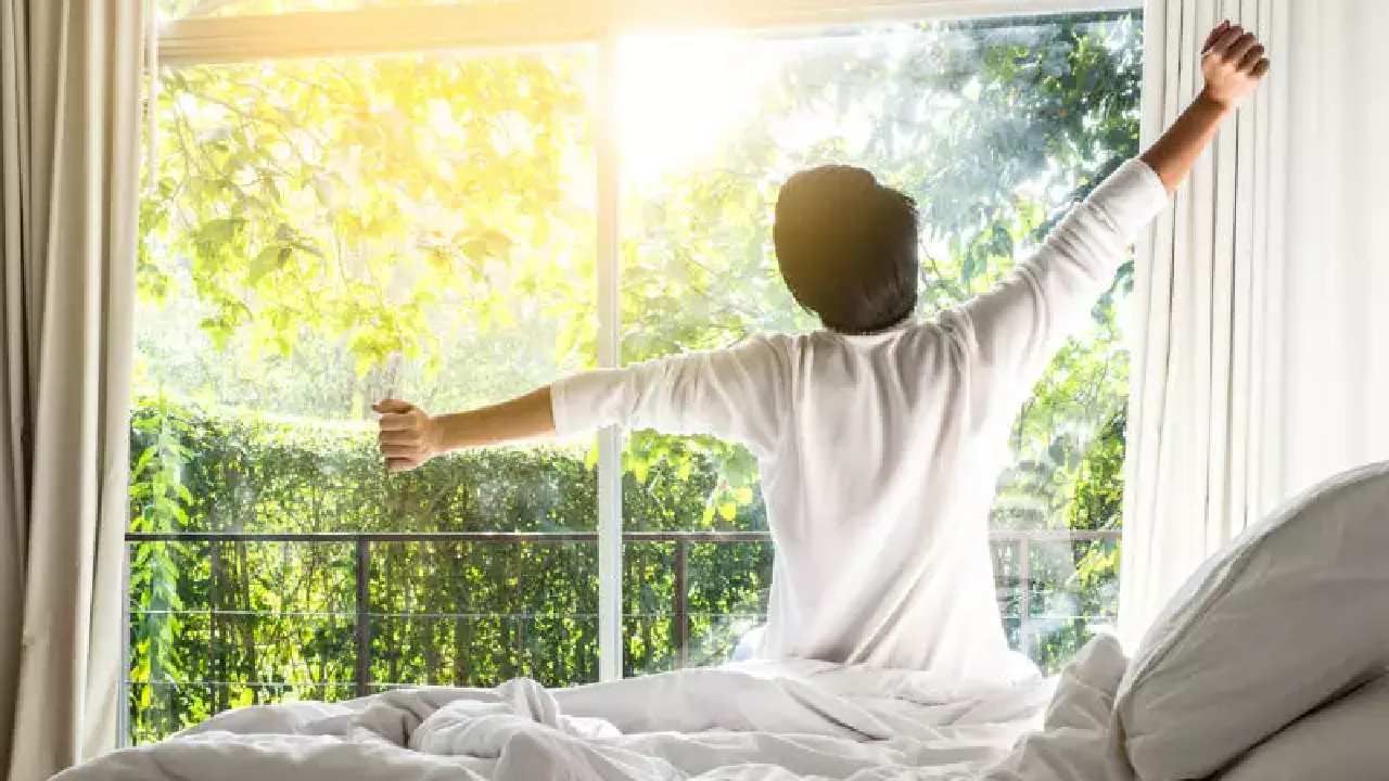 लवकर झोपून लवकर उठल्यास आपलं आरोग्य उत्तम राहातं. त्यामुळे लवकर उठण्याची सवय यंदाच्या वर्षी लावायलाच हवी. 