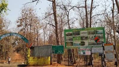 अभयारण्यालगतच्या विदर्भातील गावांना मदतीची अपेक्षा; केंद्रीय अर्थसंकल्पातून काय मिळणार?