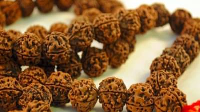 Rudraksha: रूद्राक्ष धारण करण्याचे आहेत असंख्य फायदे, जाणून घ्या रूद्राक्ष धारण करण्याचे नियम