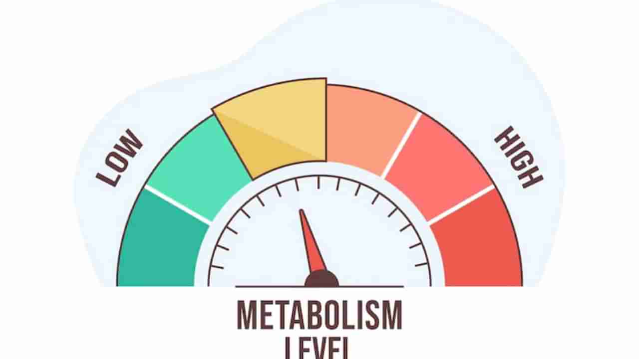 Tips To Boost Metabolism: खूप पाणी प्या,  मसाल्यांचे सेवन करा, मेटाबॉलिज्म वाढवण्याचे 5 उपाय