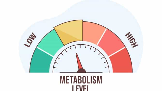 Tips To Boost Metabolism: खूप पाणी प्या, मसाल्यांचे सेवन करा, मेटाबॉलिज्म वाढवण्याचे 5 उपाय