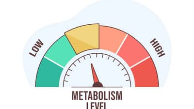 Tips To Boost Metabolism: खूप पाणी प्या, मसाल्यांचे सेवन करा, मेटाबॉलिज्म वाढवण्याचे 5 उपाय