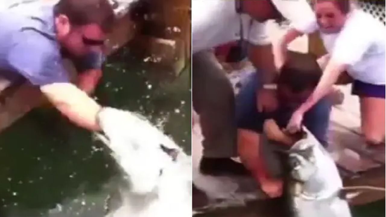 VIDEO | समुद्रात मासेमारी करणाऱ्या व्यक्तीचा हात माशाने चावला, तो व्हिवळत होता, पाहा व्हिडीओत