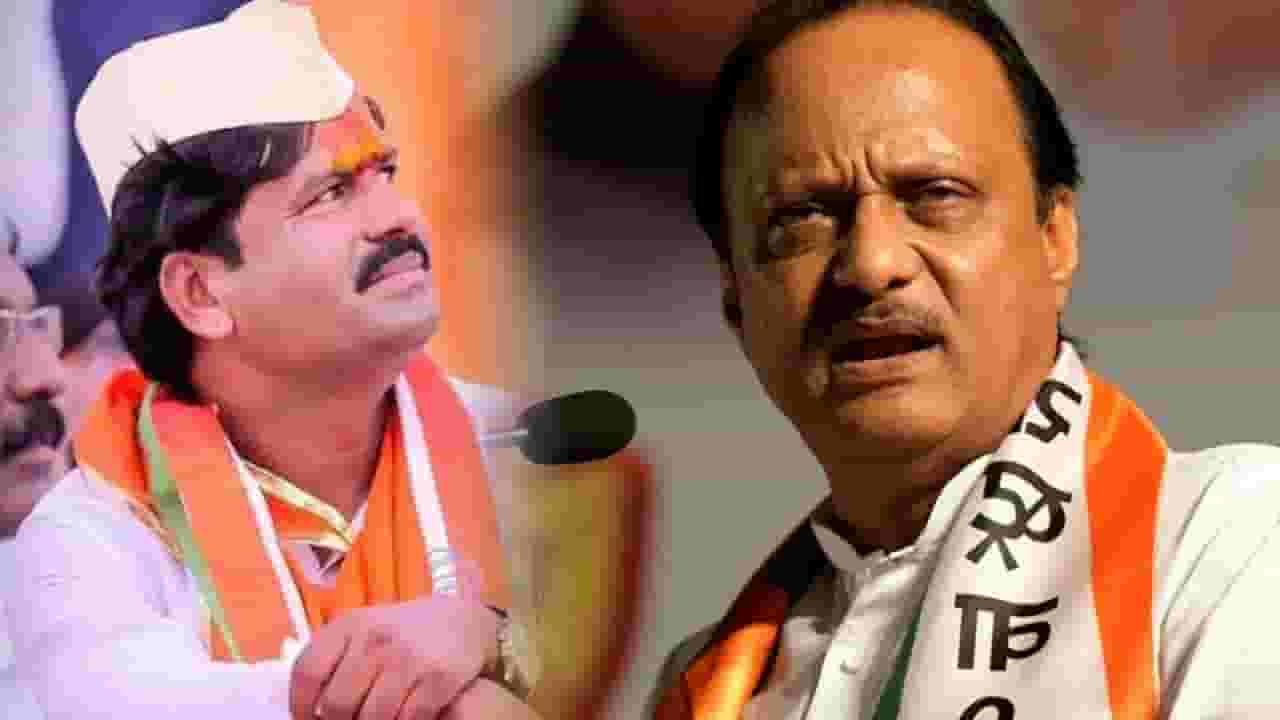 पडळकर म्हणाले, सळो की पळो करुन सोडलं, उपटसुंभ म्हणत पवार यांनी फटकारलं