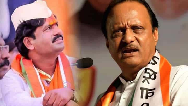 पडळकर म्हणाले, सळो की पळो करुन सोडलं, उपटसुंभ म्हणत पवार यांनी फटकारलं पडळकर म्हणाले, सळो की पळो करुन सोडलं, उपटसुंभ म्हणत पवार यांनी फटकारलं