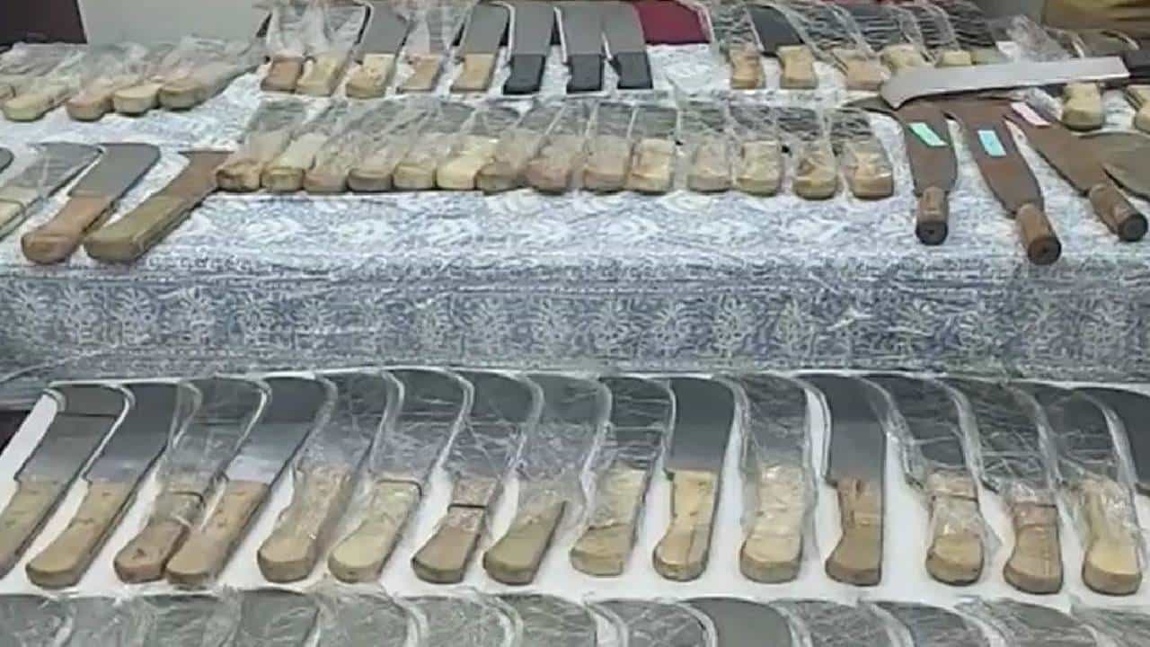 पुणे पोलिसांच्या कोयत्या गँगच्या मुळावरच घाव, जप्त केले तब्बल 105 कोयते